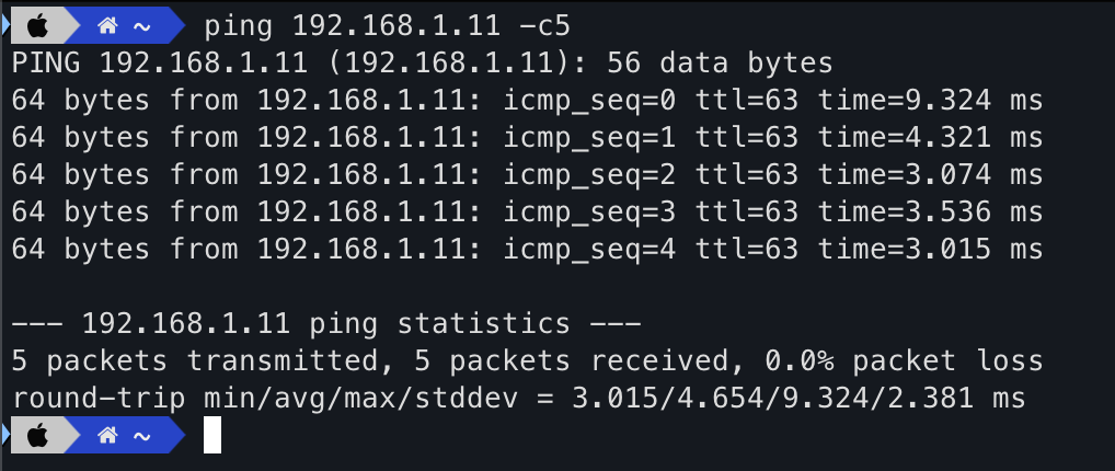 Kondisi server sebelum ICMP Request diblokir
