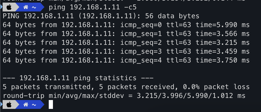 Ping kembali direspon oleh server