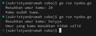 Tes golang run